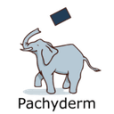 Pachyderm logo
