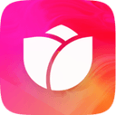 Bloom logo