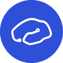 BrainKey logo