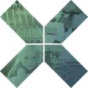 Forcyte Biotechnologies logo